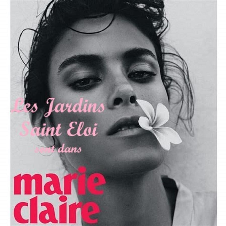 Maison D'Hotes Les Jardins Saint Eloi Le Lonzac Εξωτερικό φωτογραφία